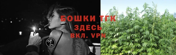 ешки Гусь-Хрустальный