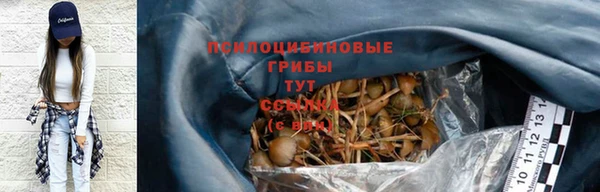 хмурый Вязьма