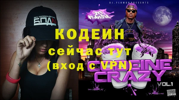 твердый Гусев