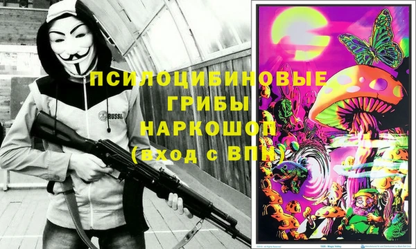 твердый Гусев