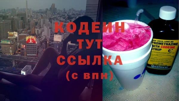 твердый Гусев