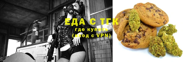 твердый Гусев